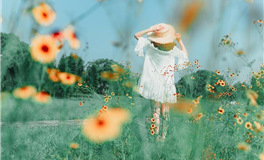 苏珊米勒2025年10月双子座运势