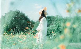 静电鱼2026年十二星座运势