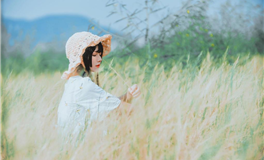 静电鱼2026年1月星座运势