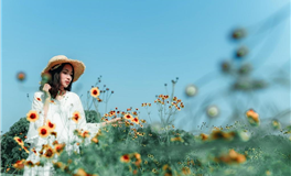 萨丽2026年整体星象（四）：木星与土星