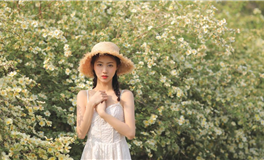 罗伯2026年心灵指引（序）