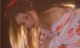 探索木土周期：2025-2027年木土三分相