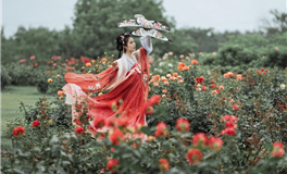 苏珊米勒2026年3月巨蟹座运势